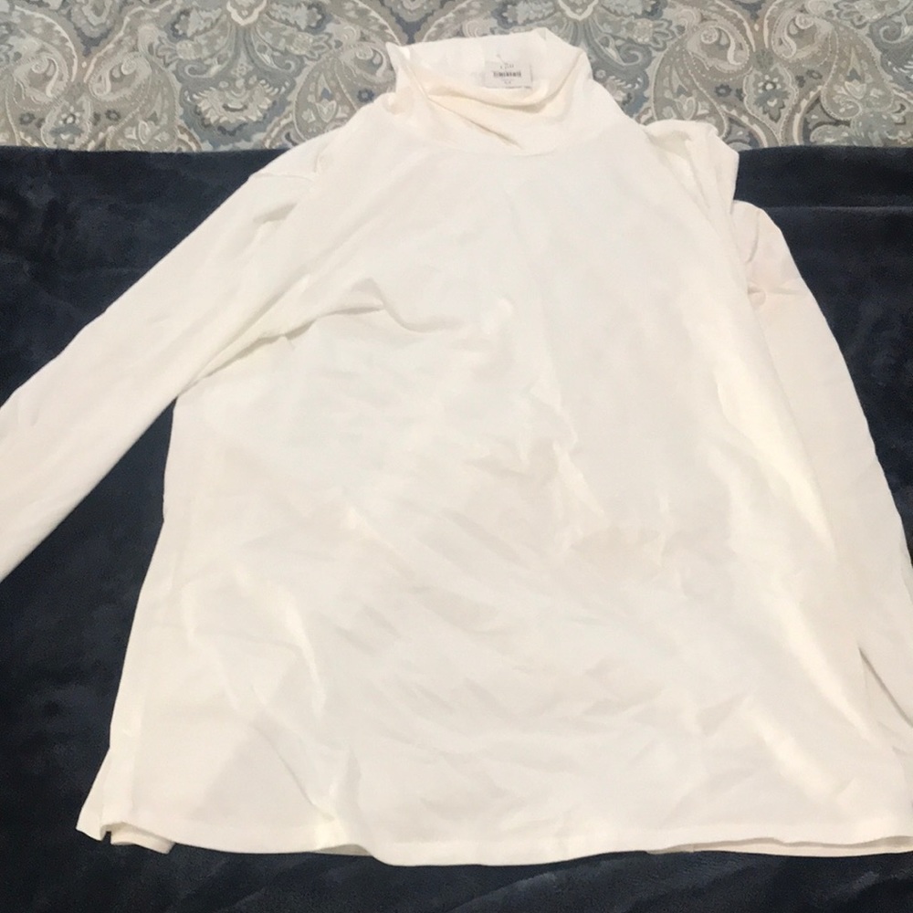 NWT J Jill turtle neck